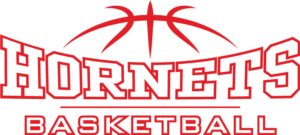 Hornets_Basketball_On_White